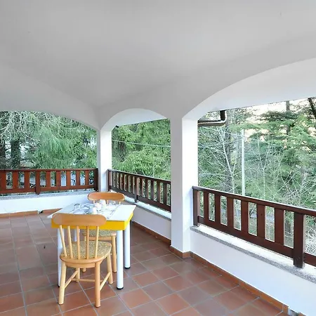 Ambra Di Tartavalle *