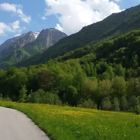 Ambra Di Tartavalle *