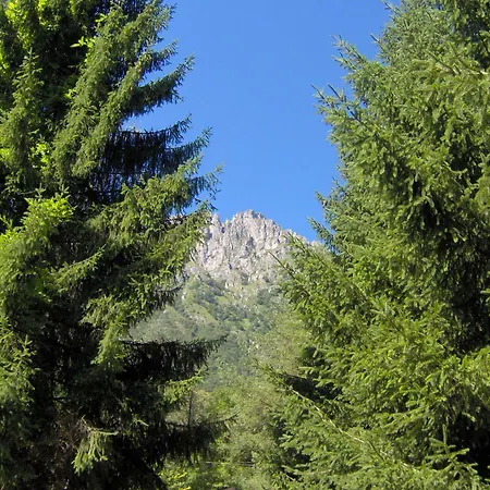 Ambra Di Tartavalle